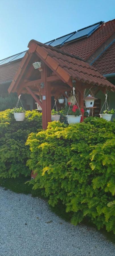 Ferienwohnung Aurora Haz Zalakaros Exterior foto